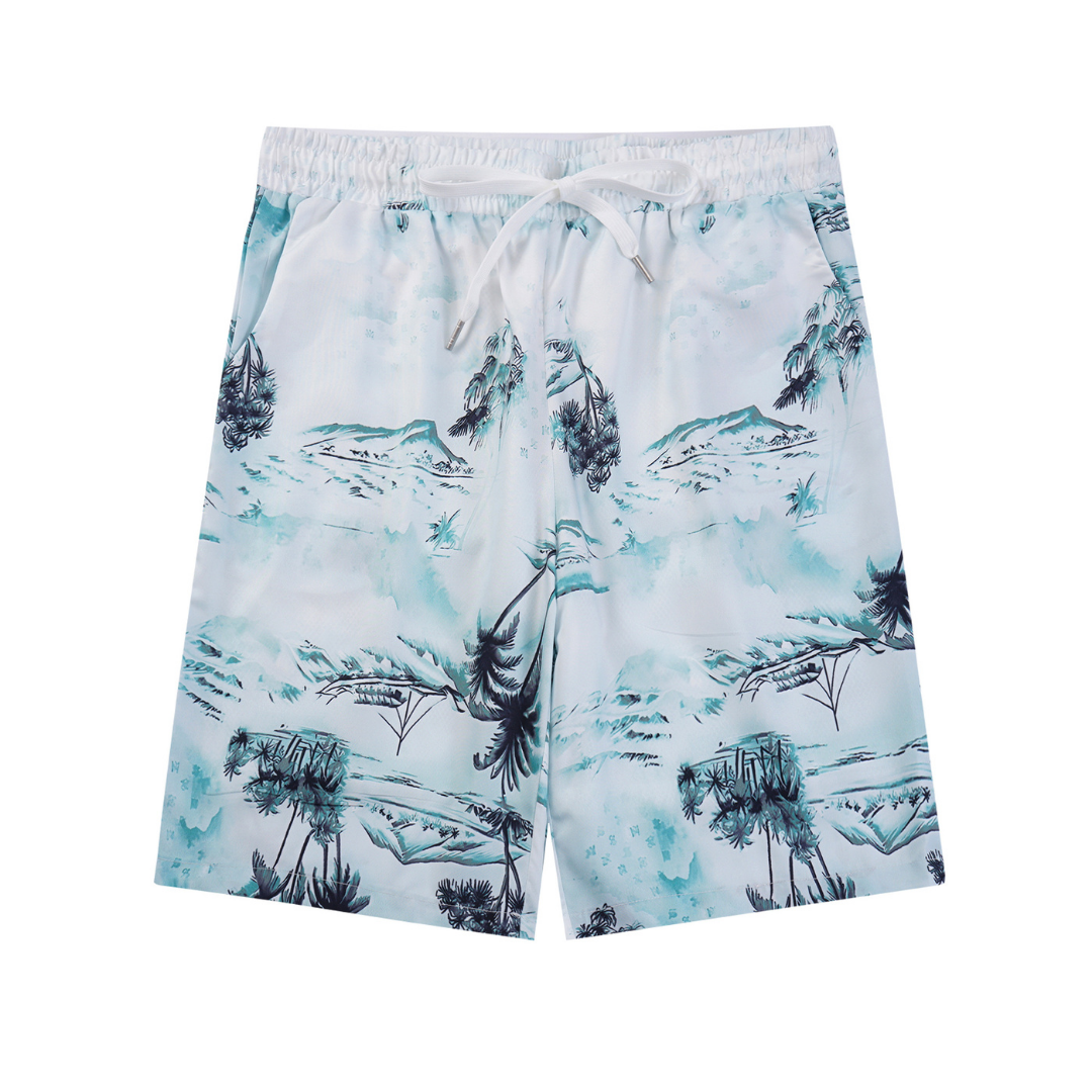 Conjunto AMIRl