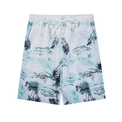 Conjunto AMIRl
